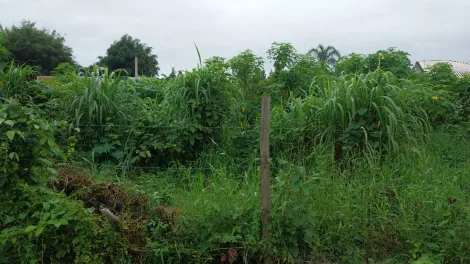 imagem 2 - Terreno - Padrão imagem 2 - Terreno - Padrão