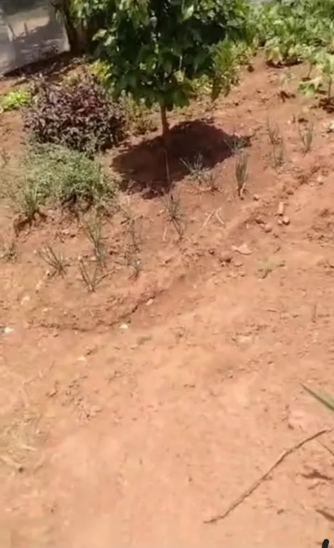 imagem 4 - Venda de Chácara Rural em Natividade da Serra/SP imagem 4 - Venda de Chácara Rural em Natividade da Serra/SP