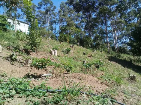 Alugar Rural / Chácara em Monteiro Lobato. apenas R$ 540.000,00