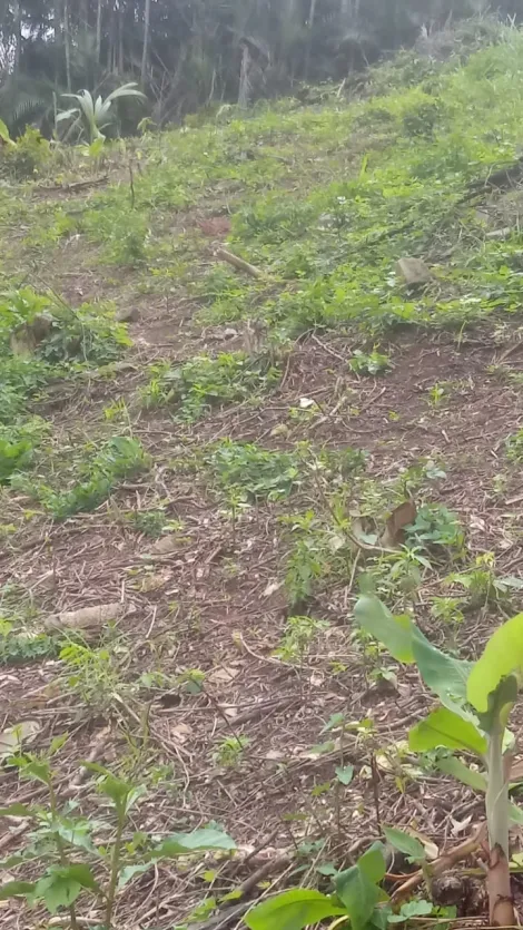 imagem 2 - Terreno - Padrão imagem 2 - Terreno - Padrão
