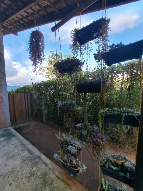 imagem 1 - Terreno - Área imagem 1 - Terreno - Área