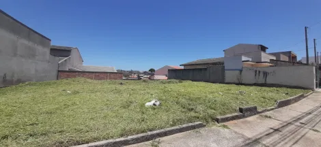 Alugar Terreno / Padrão em São José dos Campos. apenas R$ 230.000,00