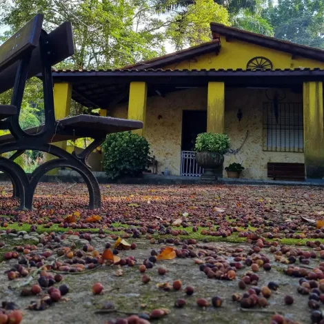 imagem 3 - Rural - Chácara imagem 3 - Rural - Chácara