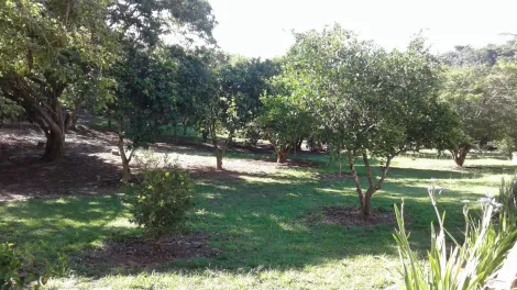 imagem 2 - Rural - Chácara imagem 2 - Rural - Chácara
