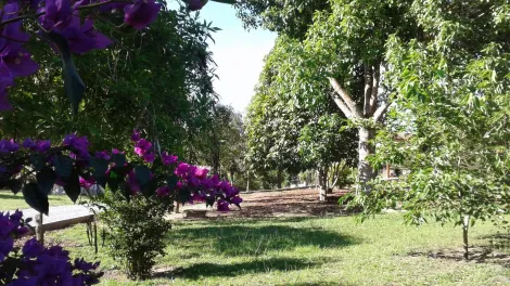 imagem 3 - Rural - Chácara imagem 3 - Rural - Chácara