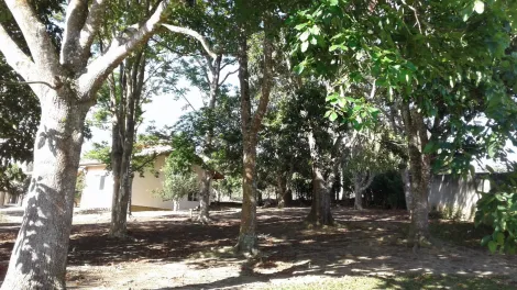 imagem 4 - Rural - Chácara imagem 4 - Rural - Chácara