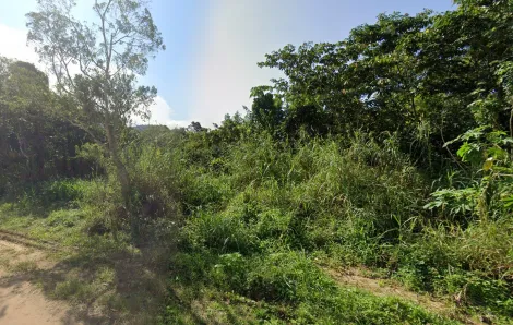 Lote a 400m da Praia Massaguaçu