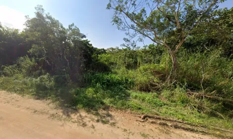 imagem 4 - Lote a 400m da Praia Massaguaçu imagem 4 - Lote a 400m da Praia Massaguaçu