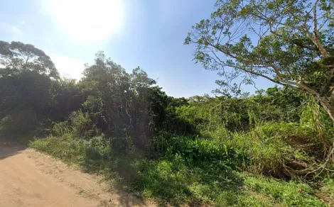 imagem 5 - Lote a 400m da Praia Massaguaçu imagem 5 - Lote a 400m da Praia Massaguaçu