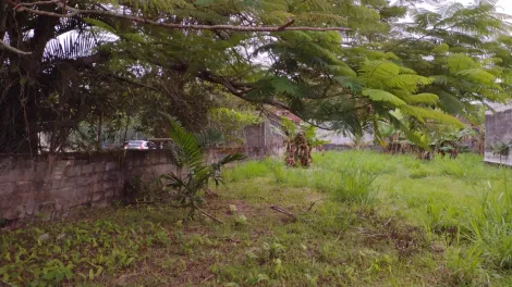 imagem 1 - Terreno - Padrão imagem 1 - Terreno - Padrão