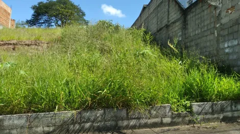 imagem 3 - Terreno - Padrão imagem 3 - Terreno - Padrão