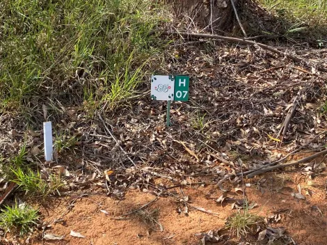 imagem 2 - Terreno - Padrão em Condomínio imagem 2 - Terreno - Padrão em Condomínio