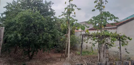 imagem 3 - Terreno com Potencial! 264m² para Construir em Bairro Tranquilo de Pinda! imagem 3 - Terreno com Potencial! 264m² para Construir em Bairro Tranquilo de Pinda!