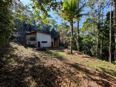 imagem 3 - Chácara a venda imagem 3 - Chácara a venda