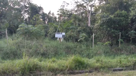 imagem 1 - Terreno à venda no bairro Mirante de Caraguatatuba imagem 1 - Terreno à venda no bairro Mirante de Caraguatatuba