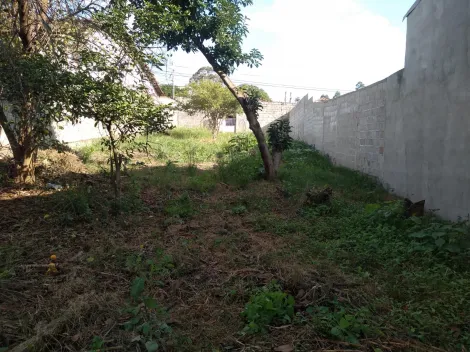 imagem 1 - Terreno - Padrão imagem 1 - Terreno - Padrão