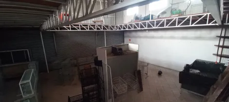 imagem 3 - Loja para locação no bairro Tinga imagem 3 - Loja para locação no bairro Tinga