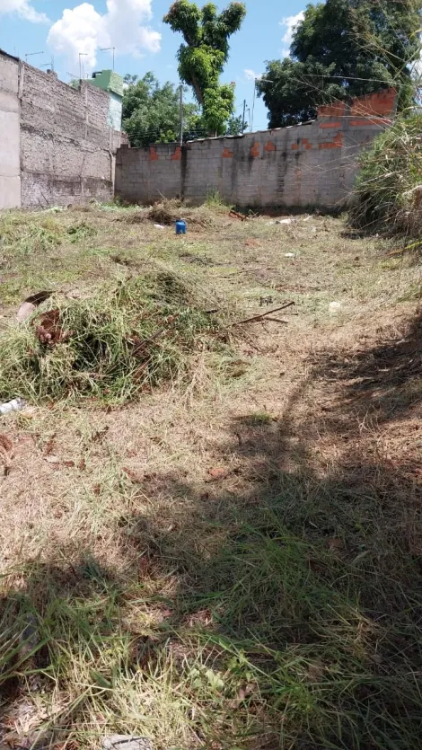 imagem 3 - Terreno - Padrão imagem 3 - Terreno - Padrão