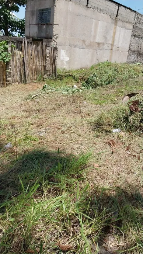 imagem 4 - Terreno - Padrão imagem 4 - Terreno - Padrão