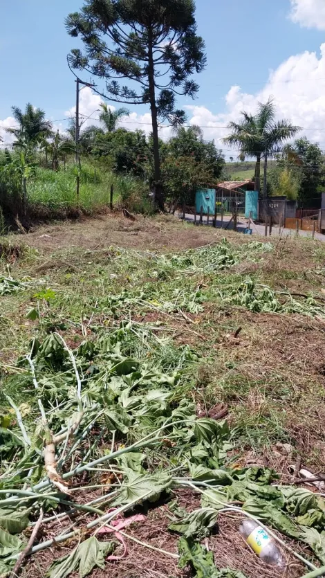 imagem 5 - Terreno - Padrão imagem 5 - Terreno - Padrão