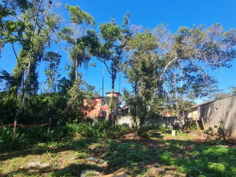 imagem 2 - Excelente lote bem localizado. imagem 2 - Excelente lote bem localizado.