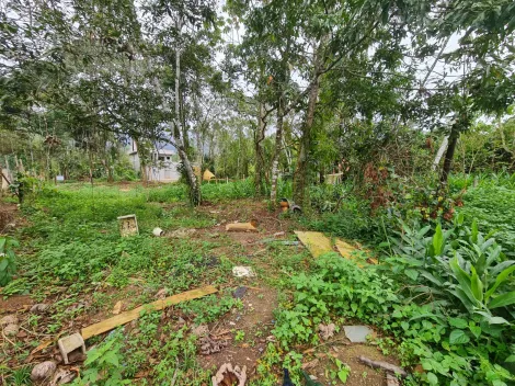 imagem 3 - Excelente lote bem localizado. imagem 3 - Excelente lote bem localizado.