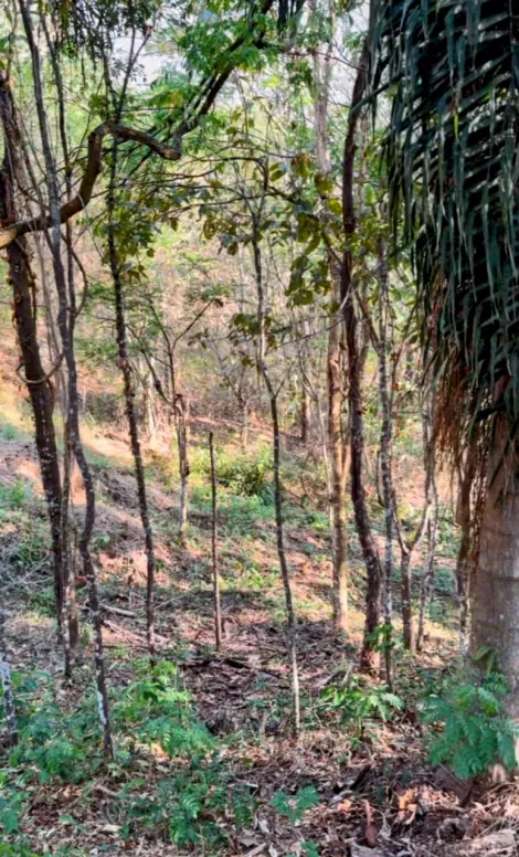 imagem 1 - Terreno - Padrão em Condomínio imagem 1 - Terreno - Padrão em Condomínio