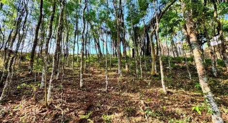 imagem 3 - Terreno - Padrão em Condomínio imagem 3 - Terreno - Padrão em Condomínio