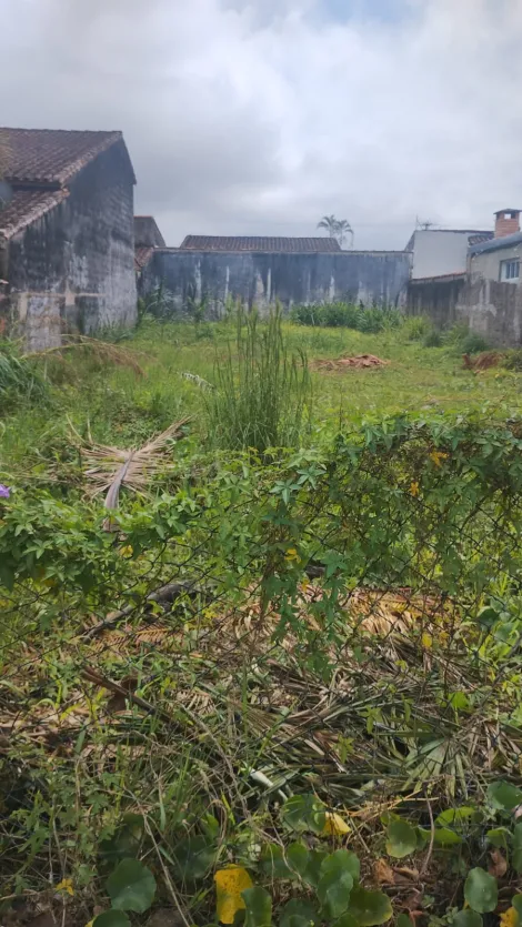 imagem 2 - Terreno - Padrão imagem 2 - Terreno - Padrão