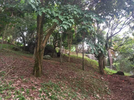 imagem 4 - Sitio em Paraibuna com arvores frutíferas,nativas, rosas e dois tanques de pesca. imagem 4 - Sitio em Paraibuna com arvores frutíferas,nativas, rosas e dois tanques de pesca.