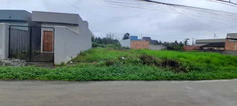 imagem 1 - Terreno Aterrado a venda no Balneário dos Golfinhos - Praia Caraguatatuba imagem 1 - Terreno Aterrado a venda no Balneário dos Golfinhos - Praia Caraguatatuba