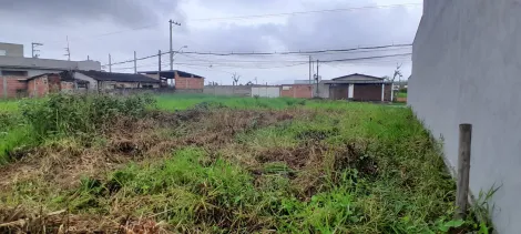 imagem 4 - Terreno Aterrado a venda no Balneário dos Golfinhos - Praia Caraguatatuba imagem 4 - Terreno Aterrado a venda no Balneário dos Golfinhos - Praia Caraguatatuba
