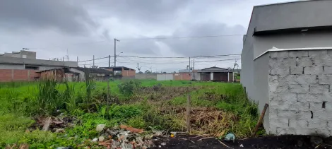 imagem 5 - Terreno Aterrado a venda no Balneário dos Golfinhos - Praia Caraguatatuba imagem 5 - Terreno Aterrado a venda no Balneário dos Golfinhos - Praia Caraguatatuba