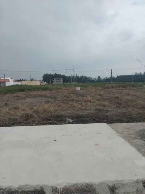 imagem 4 - Terreno à Venda no Portal dos Eucaliptos - Pindamonhangaba imagem 4 - Terreno à Venda no Portal dos Eucaliptos - Pindamonhangaba