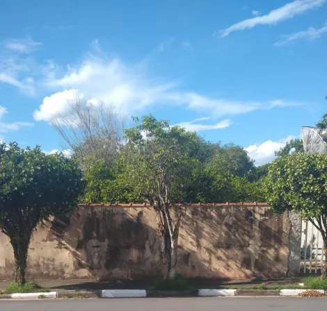 imagem 1 - Terreno à Venda na Vila São José - Pindamonhangaba/SP imagem 1 - Terreno à Venda na Vila São José - Pindamonhangaba/SP