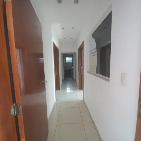 imagem 1 - Comercial - Casa imagem 1 - Comercial - Casa