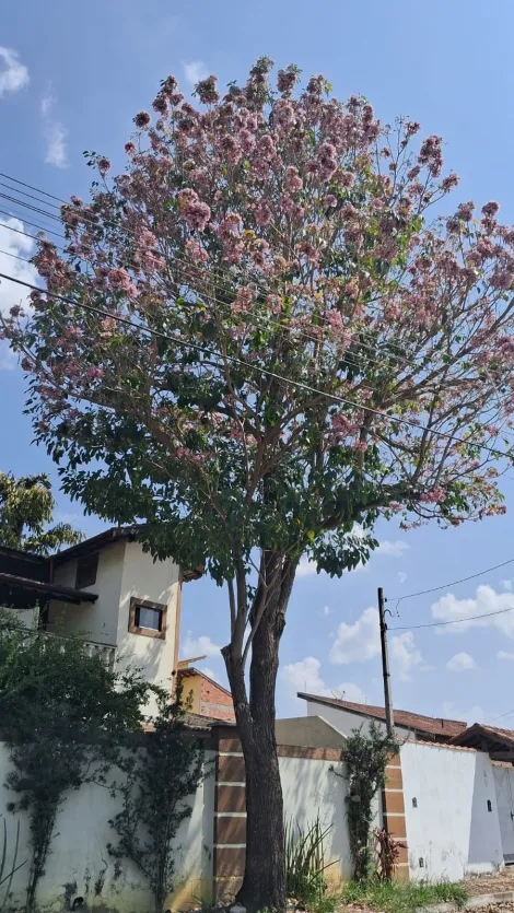 imagem 3 - Sobrado no Jardim Yassuda imagem 3 - Sobrado no Jardim Yassuda
