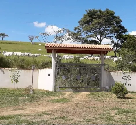 imagem 3 - BELÍSSIMA CHÁCARA 5.000 M² A VENDA OU PARA PERMUTA EM MARAMBAIA CAÇAPAVA imagem 3 - BELÍSSIMA CHÁCARA 5.000 M² A VENDA OU PARA PERMUTA EM MARAMBAIA CAÇAPAVA