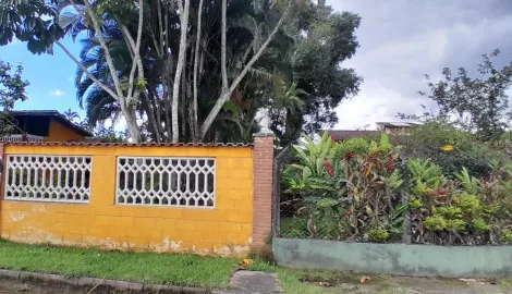 imagem 1 - Terreno à Venda no Morro do Algodão imagem 1 - Terreno à Venda no Morro do Algodão