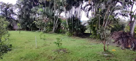 imagem 4 - Terreno à Venda no Morro do Algodão imagem 4 - Terreno à Venda no Morro do Algodão