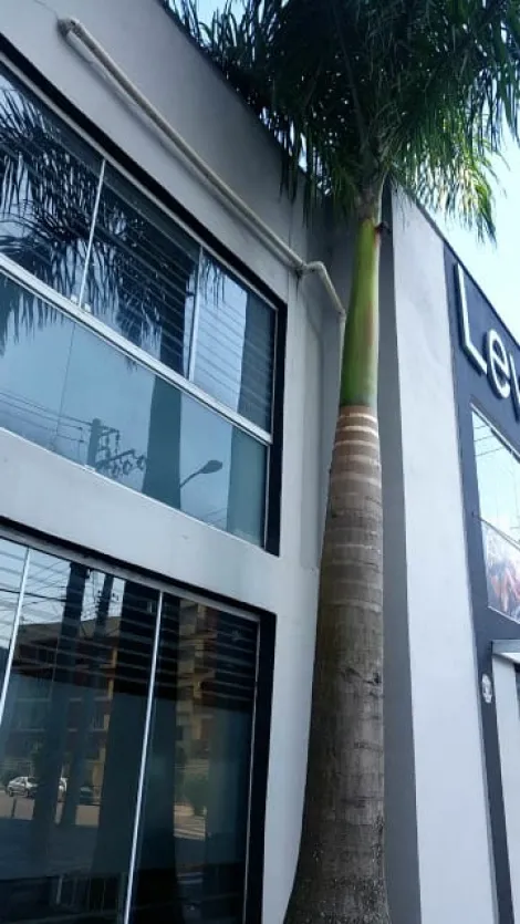 imagem 3 - Ponto comercial no centro de Caraguatatuba. imagem 3 - Ponto comercial no centro de Caraguatatuba.