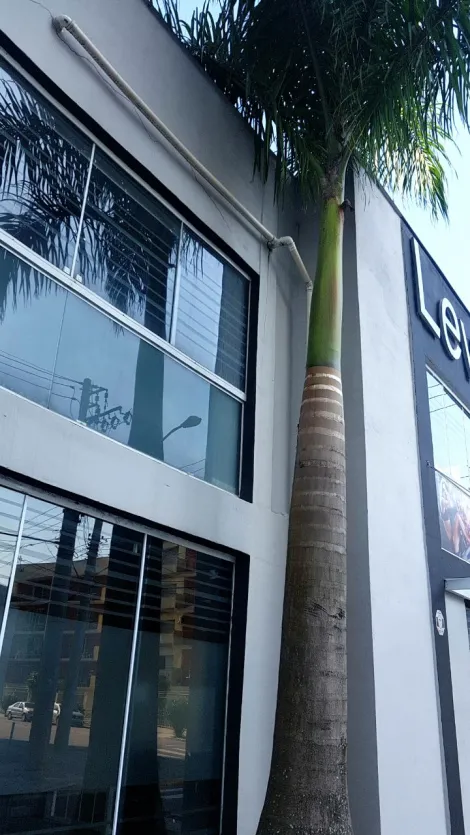 imagem 4 - Ponto comercial no centro de Caraguatatuba. imagem 4 - Ponto comercial no centro de Caraguatatuba.