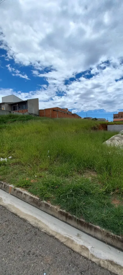 imagem 5 - Venda terreno ótima localização imagem 5 - Venda terreno ótima localização