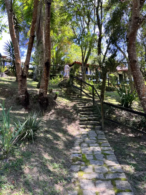 imagem 4 - Rural - Fazenda imagem 4 - Rural - Fazenda