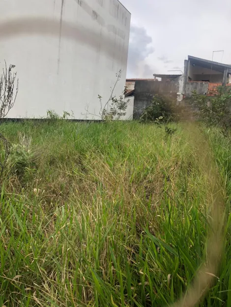 imagem 4 - TERRENO DE 250m² NO BOSQUE DOS EUCALIPTOS imagem 4 - TERRENO DE 250m² NO BOSQUE DOS EUCALIPTOS
