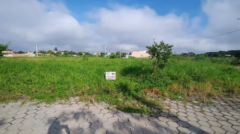 imagem 1 - Oportunidade Única: Terreno à Venda na Vila Castro! imagem 1 - Oportunidade Única: Terreno à Venda na Vila Castro!