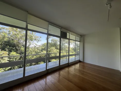 imagem 1 - GRANDE OPORTUNIDADE NO CENTRO DE SÃO JOSÉ DOS CAMPOS COM 766 m² DE TERRENO (COMPREENDENDO 2 IMOVEIS) - COMERCIAL imagem 1 - GRANDE OPORTUNIDADE NO CENTRO DE SÃO JOSÉ DOS CAMPOS COM 766 m² DE TERRENO (COMPREENDENDO 2 IMOVEIS) - COMERCIAL