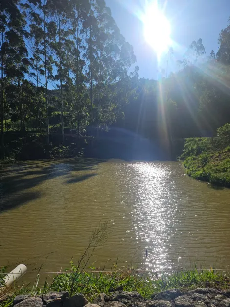 imagem 2 - SÍTIO À VENDA EM PARAIBUNA ? OPORTUNIDADE ÚNICA! imagem 2 - SÍTIO À VENDA EM PARAIBUNA ? OPORTUNIDADE ÚNICA!
