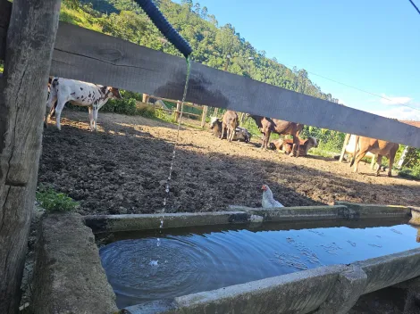 imagem 4 - SÍTIO À VENDA EM PARAIBUNA ? OPORTUNIDADE ÚNICA! imagem 4 - SÍTIO À VENDA EM PARAIBUNA ? OPORTUNIDADE ÚNICA!