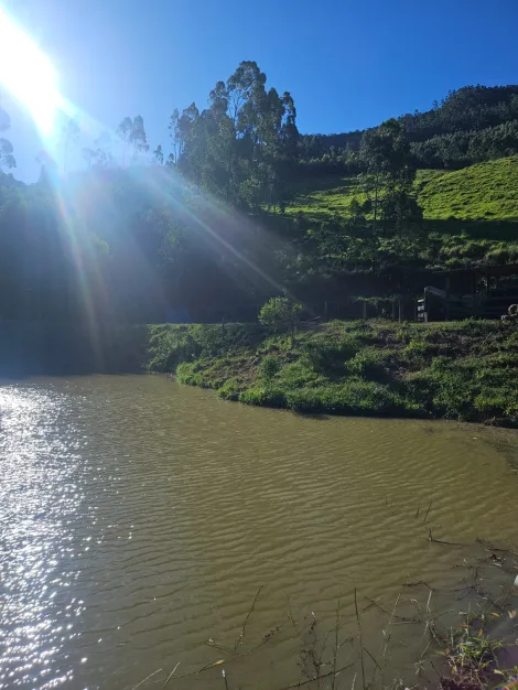 imagem 3 - SÍTIO À VENDA EM PARAIBUNA ? OPORTUNIDADE ÚNICA! imagem 3 - SÍTIO À VENDA EM PARAIBUNA ? OPORTUNIDADE ÚNICA!